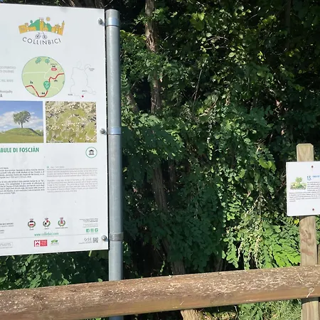 La Marjolaine Di Ale E Madda * Fagagna