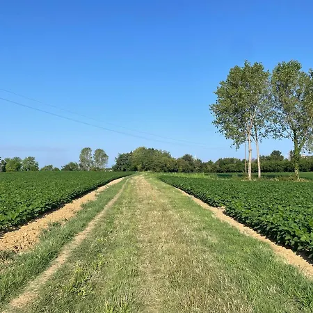 La Marjolaine Di Ale E Madda *