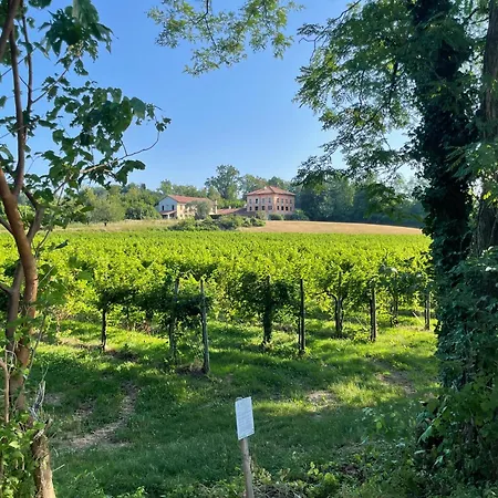 La Marjolaine Di Ale E Madda Fagagna