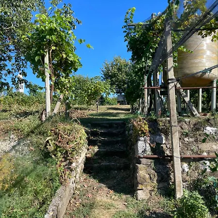 La Marjolaine Di Ale E Madda *