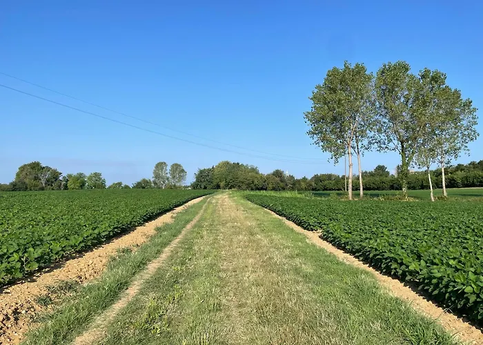 La Marjolaine Di Ale E Madda *