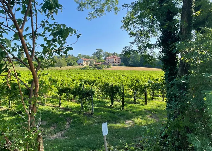 La Marjolaine Di Ale E Madda Fagagna