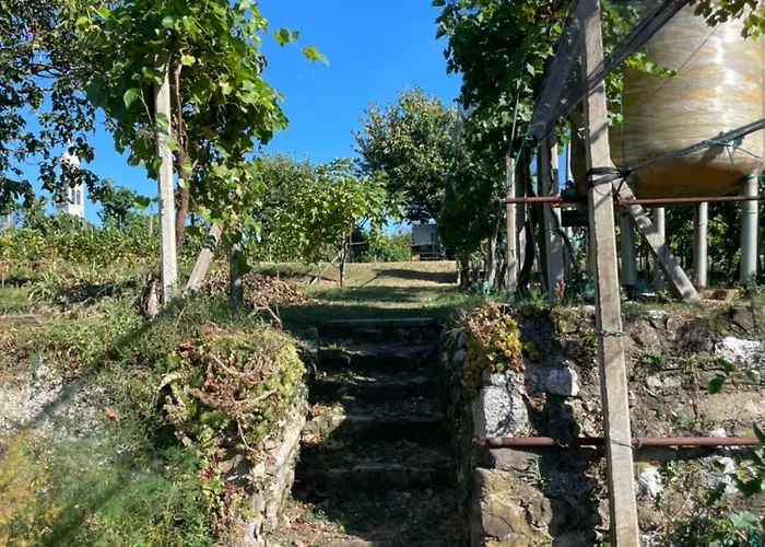 La Marjolaine Di Ale E Madda *